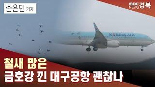 [R]"철새 많은 금호강 낀 대구공항 괜찮나"‥불안한 시민들 / 안동MBC