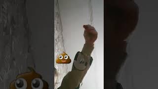 1 мая 2024 г.