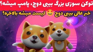 اخبار جدید بیبی دوج کوین: توکن سوزی بزرگ بیبی دوج کوین  آیا پامپ میشه؟ |بی بی دوج بلاخره لیست میشه؟