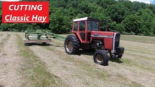 Cutting Classic Virginia Mountain Hay - Massey Ferguson 1105 & Krone 2801cv