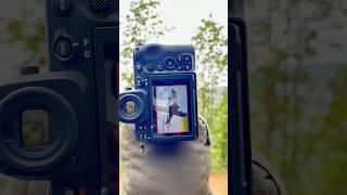 Nikon Z8 | wildlife photography | Bird photography | #wildlife #birds #nikon  #nikonz8 #shorts