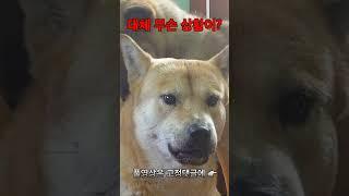 대체 무슨 상황이?