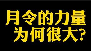 【准提子说八字易学】月令的力量，为何很大？