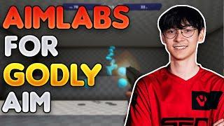 Does AIMLABS improve YOUR AIM???