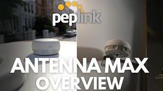 Peplink Antenna MAX - 7-in-1 Antenna, NO cable loss!