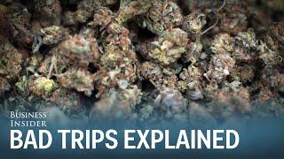 Dr. Sanjay Gupta: Here's Why People Get Bad Marijuana Trips