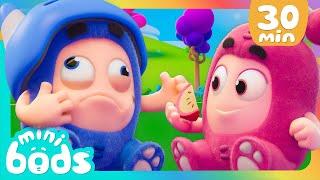  Wait until it's ripe! Healthy Fruits   | @Minibods | Funny Comedy Cartoon Episodes for Kids