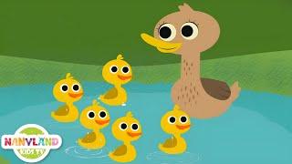 5 Little Ducks (Learn Numbers) |  Kids Songs | Nursery Rhymes for toddlers fun songs