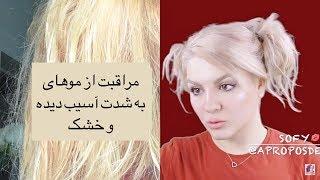 مراقب از موی آسیب دیده / خشک و شکننده / رنگ یا دکلره شده