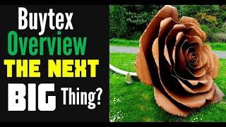 Buytex Overview - The Next Big Thing?!?