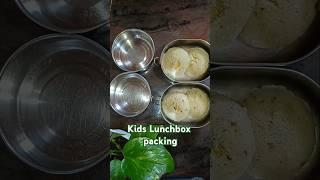 Kids Lunchbox ideas / lunch box for kids / lunchbox recipes #shorts #shortsfeed #lunchbox #ravaidli