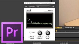 Premiere Pro Tutorial: Mikrofon Rauschen entfernen