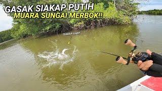 Memburu Ikan SIAKAP LIAR di Muara Sungai!!