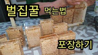 벌집꿀 먹는 방법과 벌집꿀 포장하여 판매하기(honeycomb harvest)