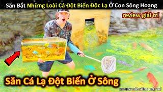 Săn Bắt Đủ Loại Cá Đột Biến Độc Lại Ở Con Sông Bỏ Hoang Gần Nhà || Review Giải Trí Đời Sống