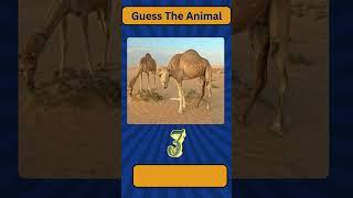 Guess The Animal 10 | Quiz Tunnel