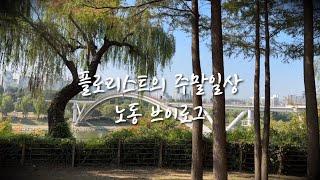 플로리스트 vlog‍ 야외웨딩 가을웨딩 선유도공원 주말한강 라면 노동이라 쓰고 힐링이라 부른다