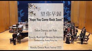 "Hope You Come Back Soon" 望你早歸 (Pan Flute 排簫 & Traditional Chinese Orchestra)