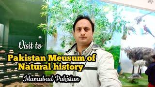 Pakistan Museum of Natural History | Islamabad Pakistan