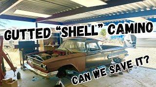 We bought a RAVAGED 60 “shellcamino”. Can we make it run and drive ? Part 1