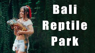 Exploring Bali's Best Reptile Park!