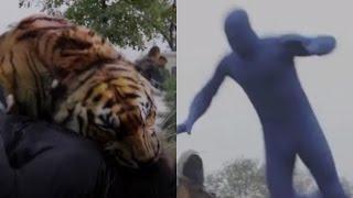 Shiva the Tiger is Actually a Man in a Blue Suit - The Walking Dead Season 7 Finale (7x16)