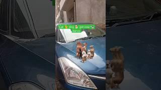 Patli Kamariya Bole hay hay hi hi #Abhijeet vlogs #Comedy Vines #2022 #Vlogs #vlogs