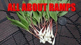 All About Ramps