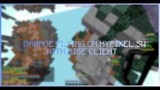 WatchDog Airlines is BACK? | Flying On Hypixel Skywars | w/Rise 6