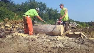 Chainsaw Race #1 Vintage Remington Super 880 vs Mall Super 990