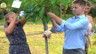 ABSCHIED NEHMEN  - TREE OF LIFE BAUMBESTATTUNGEN®   "Ich möchte ein Baum werden!"