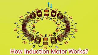 How "Ceiling fan"  or "Single phase induction motor" works ?