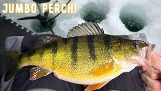 Burt Lake Ice Fishing - Perch, Walleye, and Smallmouth Bass!