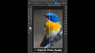 Adobe Photoshop 2025 Tips - How to Improve Photo Quality #ducthangds