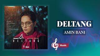 Amin Bani - Deltang | امین بانی - دلتنگ