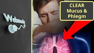 Phlegm and Mucus: Understanding the Causes and Tips to Clear Phlegm and Mucus from Lungs