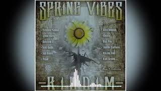 Junior Culture - Suffering (Still A Survive) [Spring Vibes Riddim]