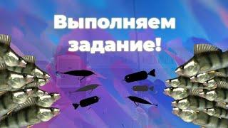 Ловим кучу ОКУНЯ на Эльбе!!! | Ultimate Fishing Simulator | Гамбург, Эльба