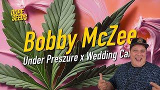 Die Sorte der Woche: Bobby McZee 