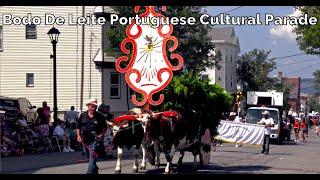 Portuguese Cultural Procession, Bodo De Leite, Fall River Mass 2024 #myportugueseculture