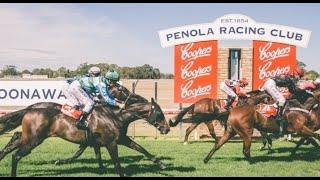 【PENOLA】 AUSTRALIA HORSE RACE ANALYSIS