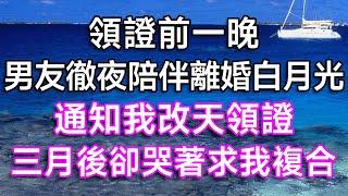 領證前一晚，男友徹夜陪伴離婚白月光，通知我改天領證，三月後卻哭著求我復合！| #故事 #一口氣看完 #結婚 #離婚 #婚姻 #出軌 #白月光 #小三 #婆媳 #婆媳矛盾 #情感故事 #家庭倫理