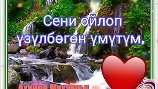 Сүйүү лирикалары 3