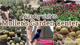 Moller’s Garden Center in Rancho Mirage, California. Amazing Cactus and other desert plants.