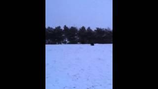 Sledging at Barr Beacon