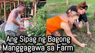 Ang sipag ng Bagong Manggagawa sa Farm.