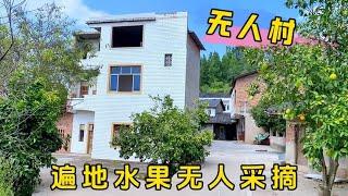 老家成了无人村，遍地水果无人采摘，楼房5000一栋都没人要！