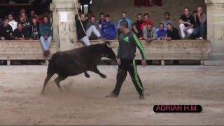 VIDEOCLIP BOUS ADRIÁN HERNÁNDEZ MARÍ 2015 2º PARTE 2º DVD