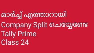 Split Company Data Tally Prime class  24