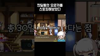 대부분 모르는 오르카 히든퀘스트(feat.미연시?)
